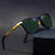 Unisex Wayfarer Green Sunglass - SunglassesMart